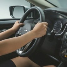 Professional Driver Services